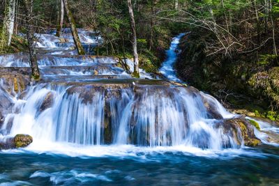 View of waterfall in forest