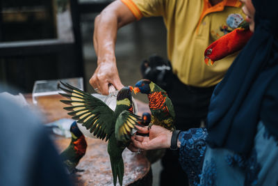 Midsection of man feeding bird at bird prk