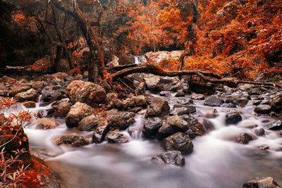 Cascade waterfall at fall of sarika national park, nakhon nayok, thailand. autumn red foliage leaf 