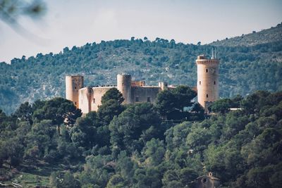 Trees by mountain against sky