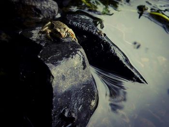 Close up of water