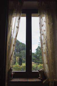 Trees seen through window of house