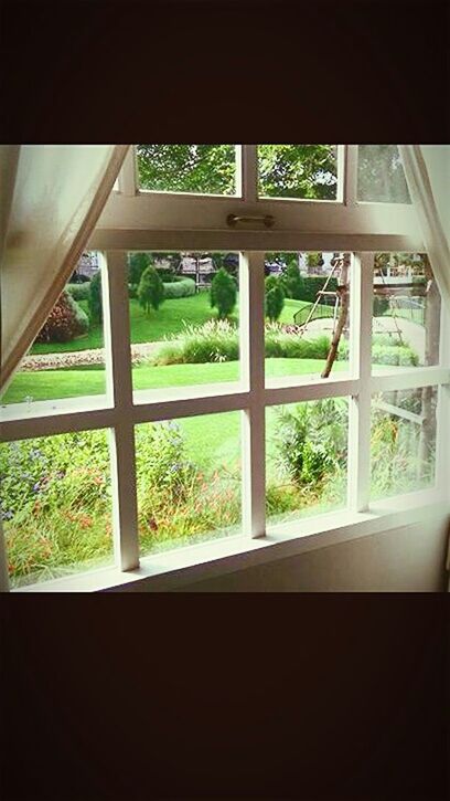 window, indoors, glass - material, transparent, tree, built structure, architecture, looking through window, growth, glass, dark, day, house, no people, sunlight, green color, plant, window frame, nature, sky