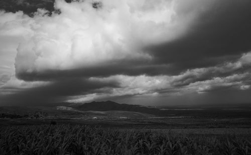 Scenic view of field against sky