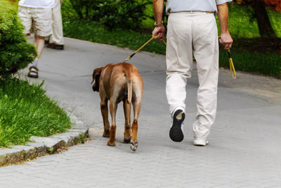 Low section of man with dog walking on footpath at public park