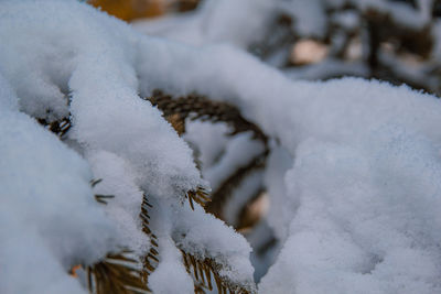 Close-up of snow covered land