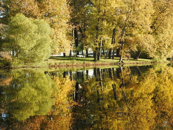 Trees by lake during autumn