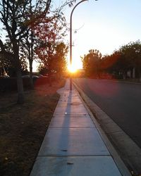 Sun shining through trees