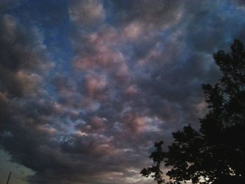 Low angle view of tree against sky at night