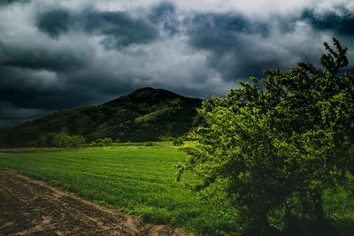 Scenic view of field against cloudy sky