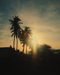 Silhouette of palm trees at sunset