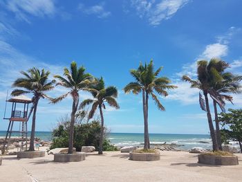 Palm trees on beach against sky