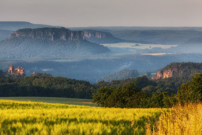 Scenic view of landscape against sky