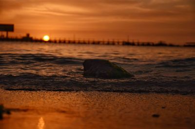 Close-up of crab on beach against sky during sunset