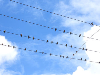 Low angle view of barbed wire against sky