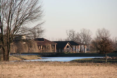 Bare trees in front of houses against clear sky