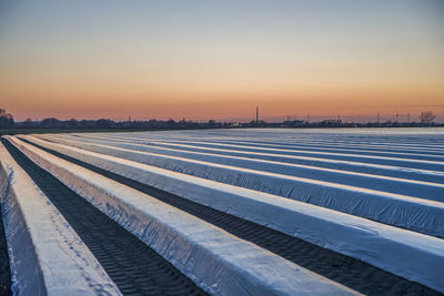 Textile covers protecting asparagus field at dusk