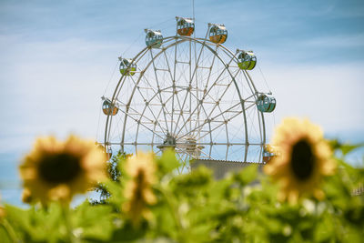 Low angle view of ferris wheel against sky