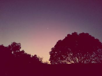 Low angle view of silhouette trees against sky at night