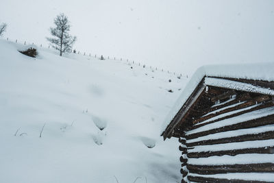 Snow covered land and trees on field with house