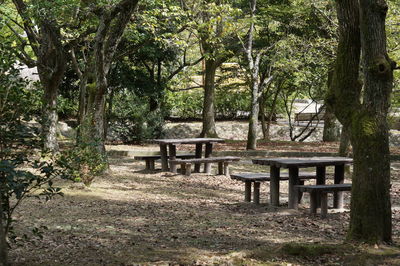 Chairs and table against trees in forest