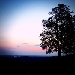 Silhouette of trees at sunset