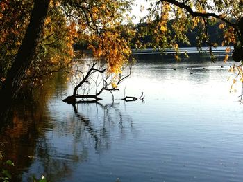 Scenic view of lake