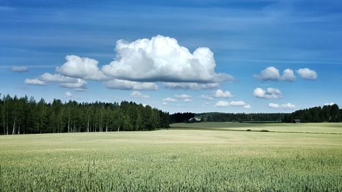 Scenic view of landscape against cloudy sky