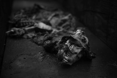 Close-up of crab on floor