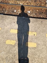 High angle view of woman standing on street