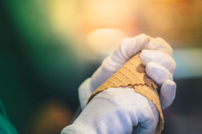 Close-up of hand holding leaf