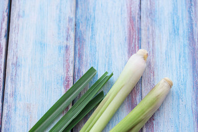 High angle view of vegetables on table