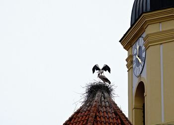 Low angle view of bird perching on building against sky