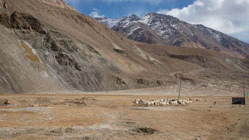 Scenic view of landscape and mountains against sky