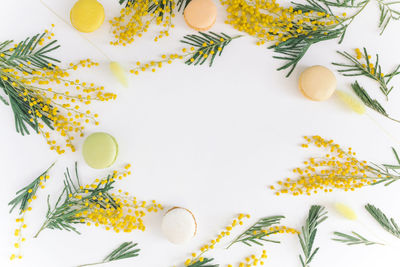 Directly above shot of white flowers on table