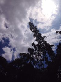 Low angle view of silhouette tree against sky