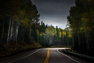 Country road amidst trees in forest against sky