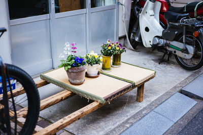 High angle view of potted plants on sidewalk