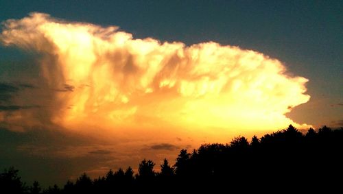 Silhouette trees against sky during sunset