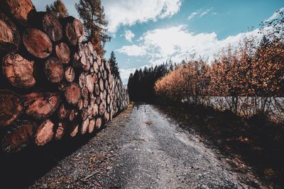 Road amidst trees in forest against sky