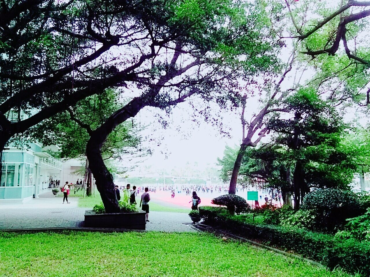 tree, water, person, lifestyles, large group of people, leisure activity, men, grass, park - man made space, growth, mixed age range, river, nature, lake, tourist, green color, branch, sitting, relaxation