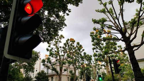 Low angle view of trees against sky in city