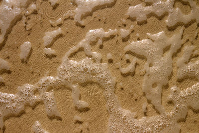 High angle view of footprints on sand