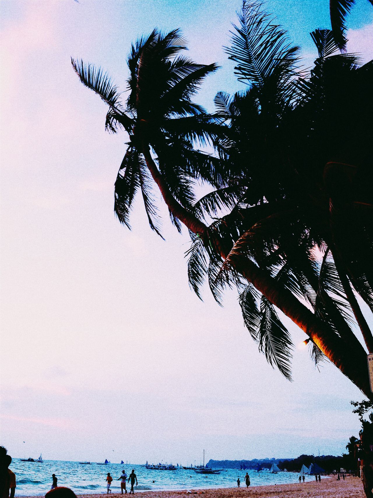 The Treehouse Beachfront