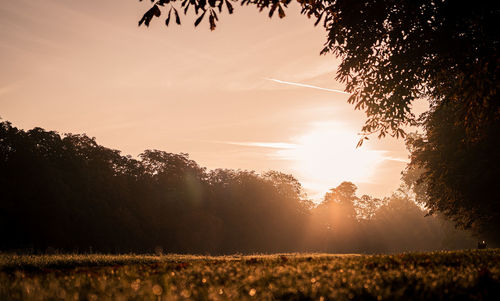 Scenic view of field against sky during sunset