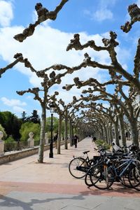Bicycles parked on street in city against sky