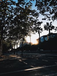 Road in city during sunset