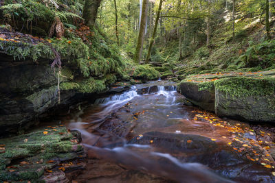 Stream flowing through rocks in forest