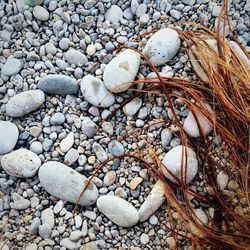 High angle view of pebbles