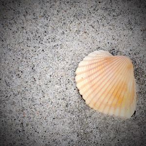 Close-up of sand on beach